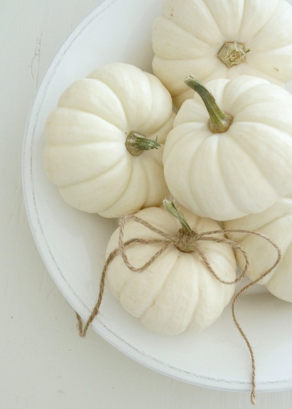 creamy pumpkins twine bow